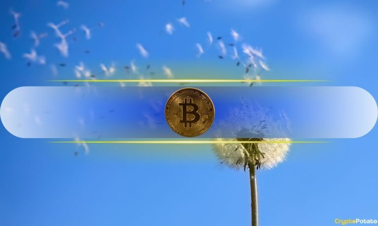 Bitcoin (BTC) Crash Is ‘Breezy’ Compared to 2022 Carnage, Claims Dragonfly’s Qureshi Bitcoin (BTC) Crash Is 'Breezy' Compared to 2022 Carnage, Claims Dragonfly's Qureshi